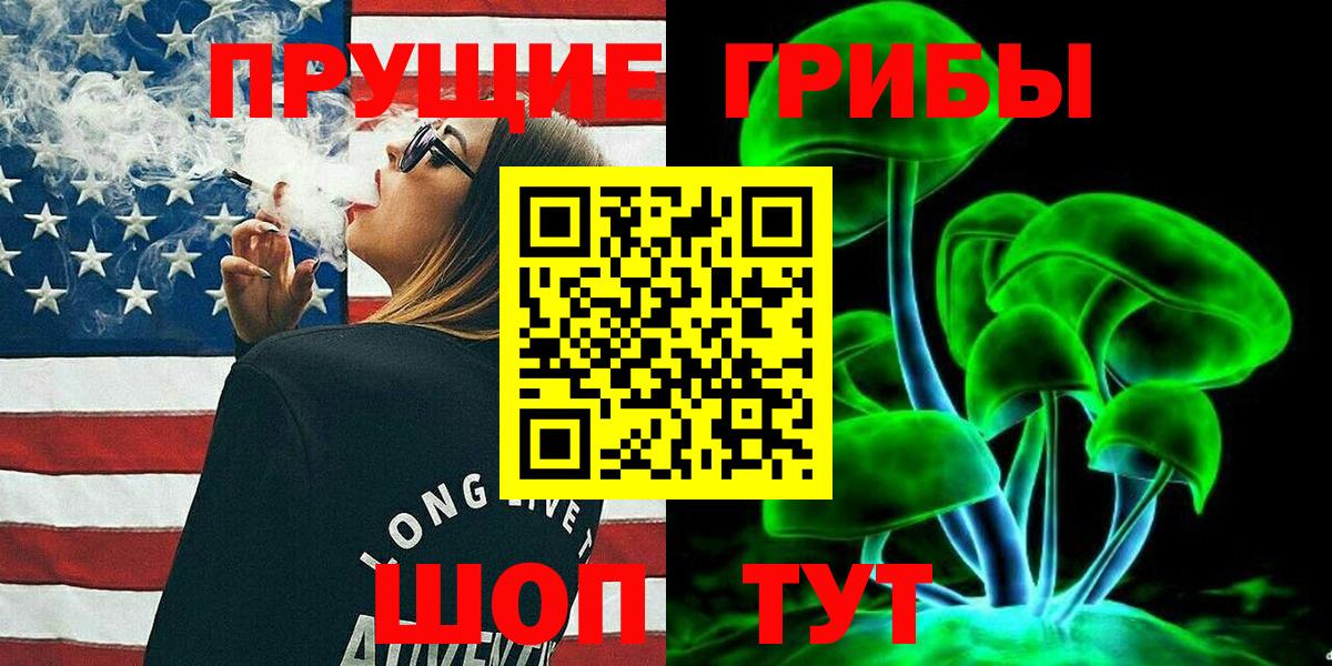 Кемерово  Галлюциногенные грибы Psilocybine cubensis  Вход с VPN 